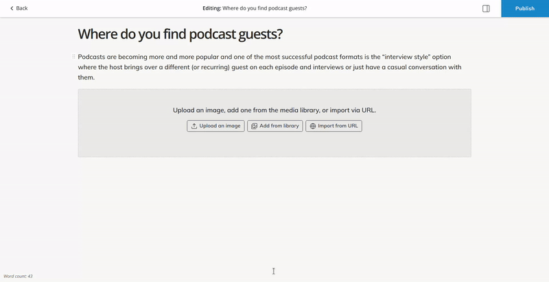 content editor - blog settings