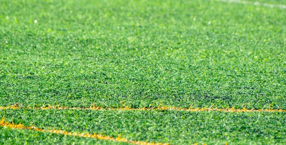 green grass field during daytime